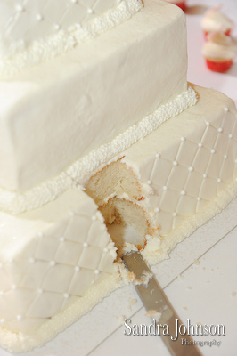 Best Nottoway Plantation Wedding photographer - Sandra Johnson (SJFoto.com)